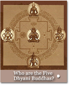 Who are the Five Dyhani Buddhas?